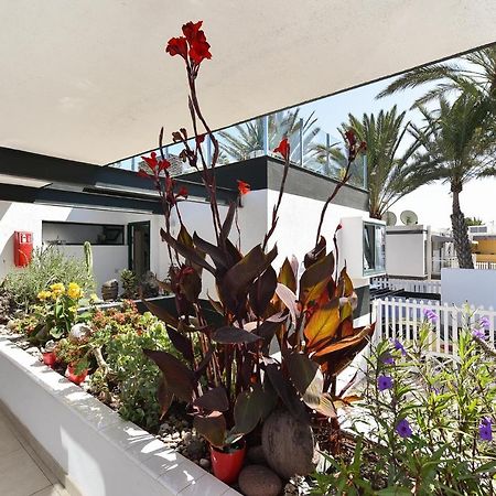 Maspalomas Beach Apartment Charca 1 Luaran gambar